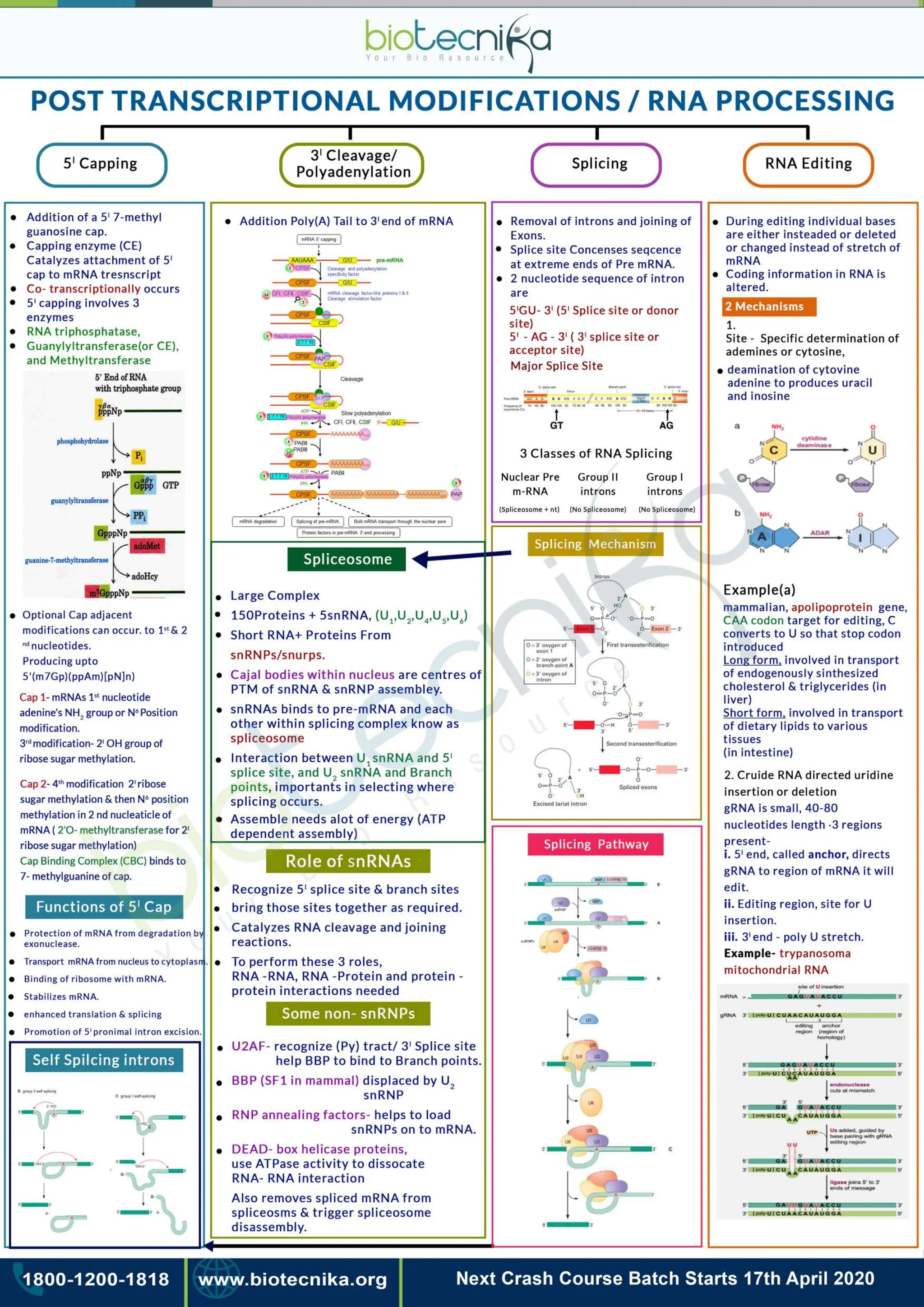 Flow chart.pdf  LIFE SCIENCES CSIR UGC NET CONTENT