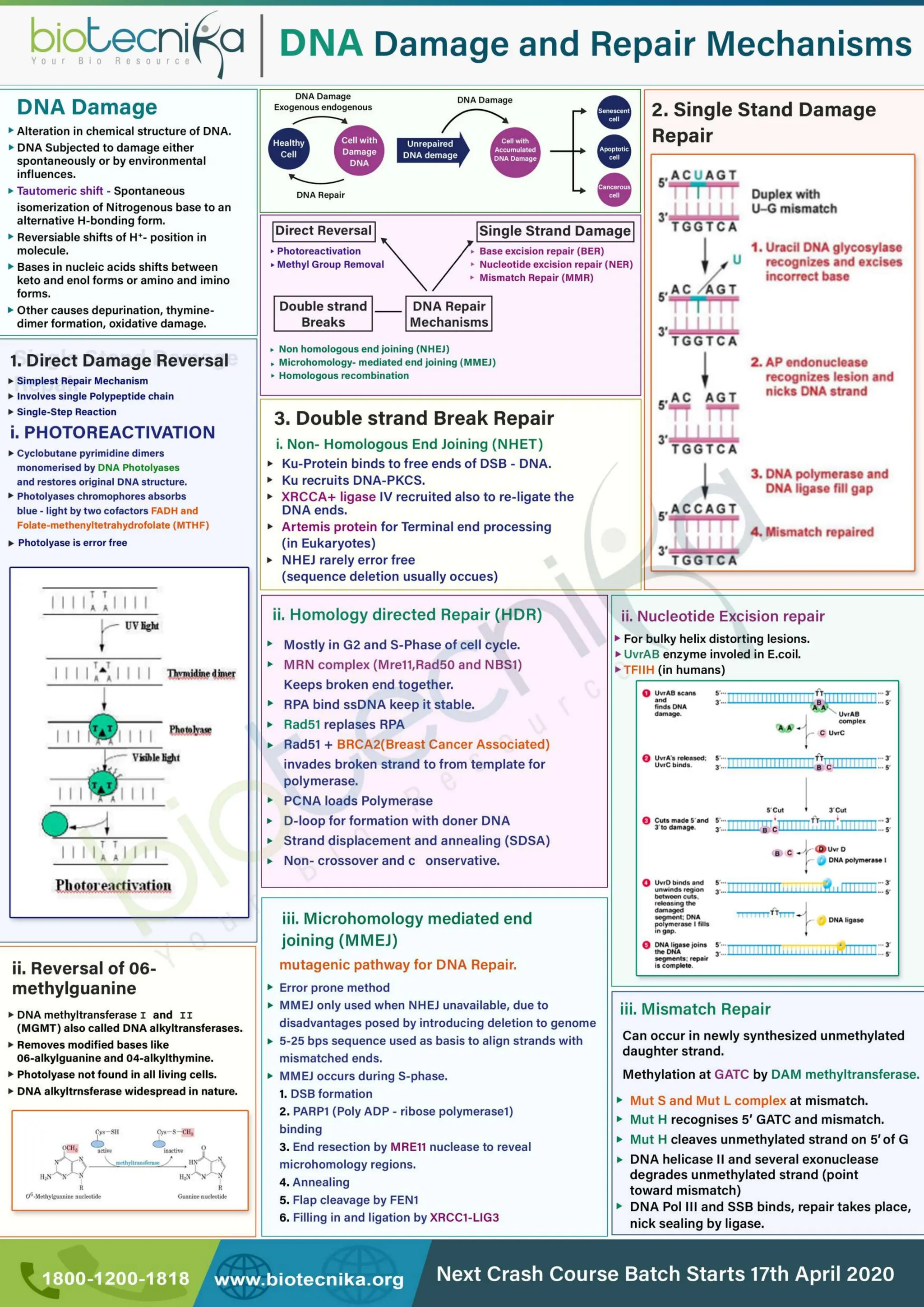 Flow chart.pdf  LIFE SCIENCES CSIR UGC NET CONTENT