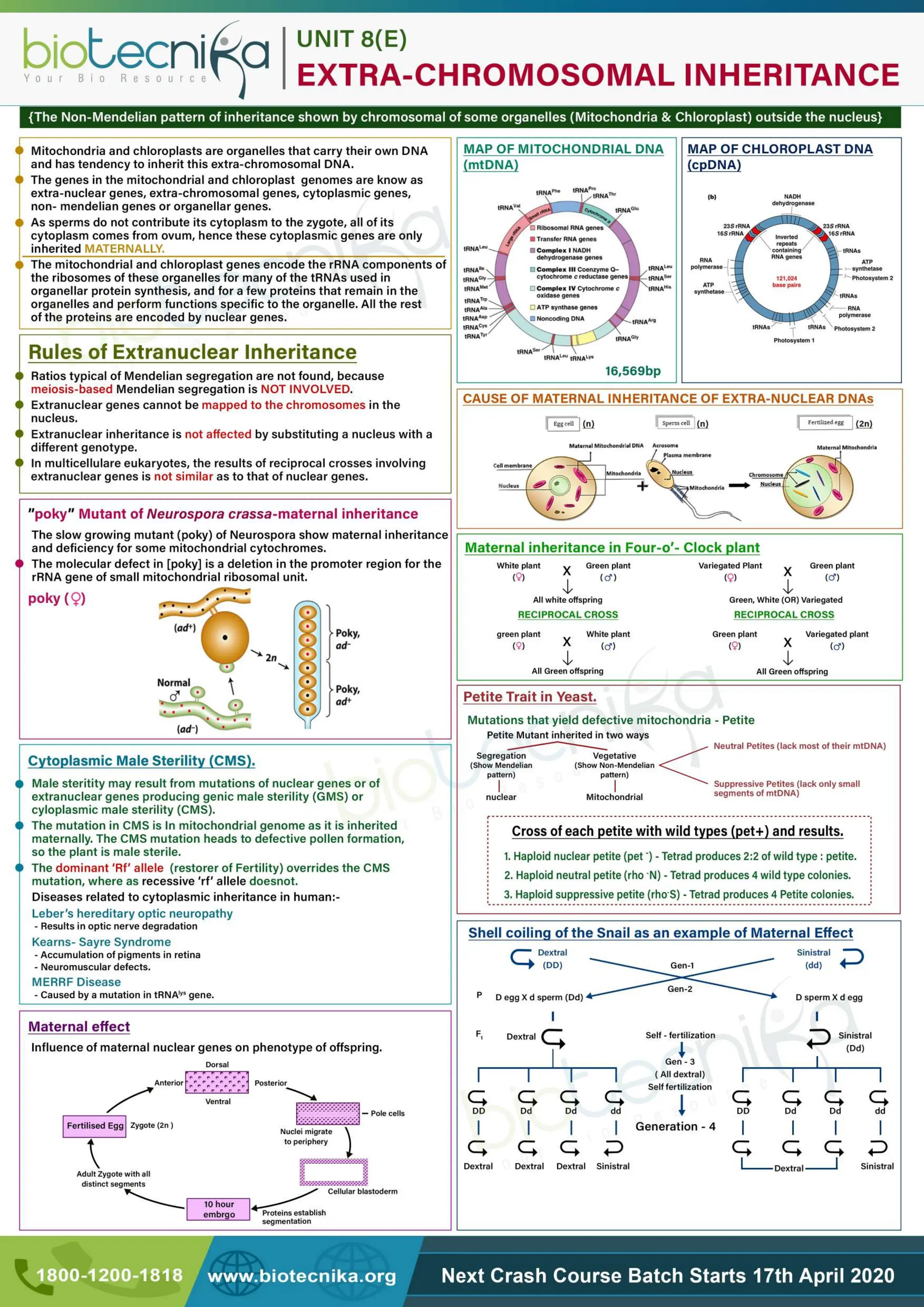 Flow chart.pdf  LIFE SCIENCES CSIR UGC NET CONTENT
