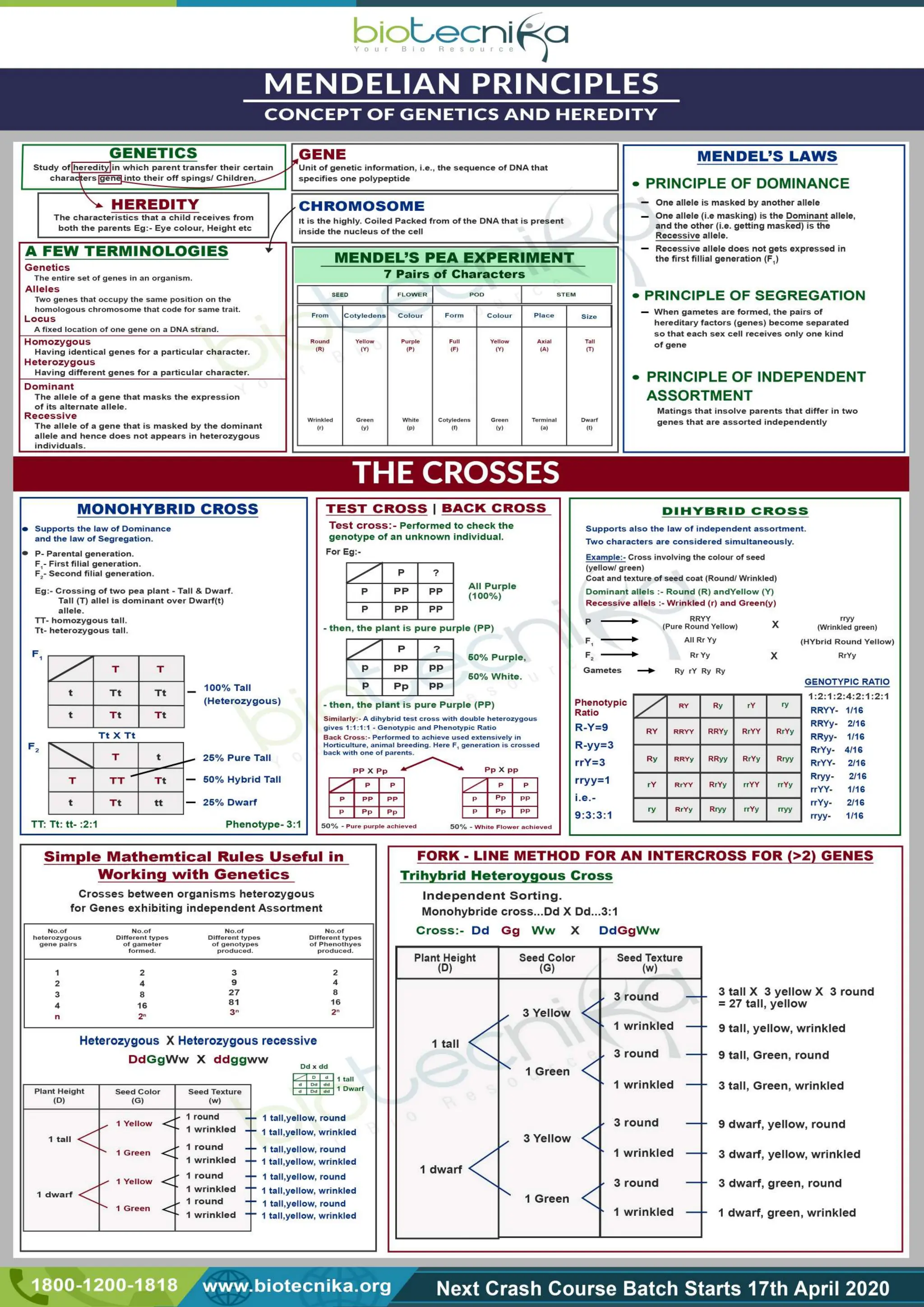 Flow chart.pdf  LIFE SCIENCES CSIR UGC NET CONTENT