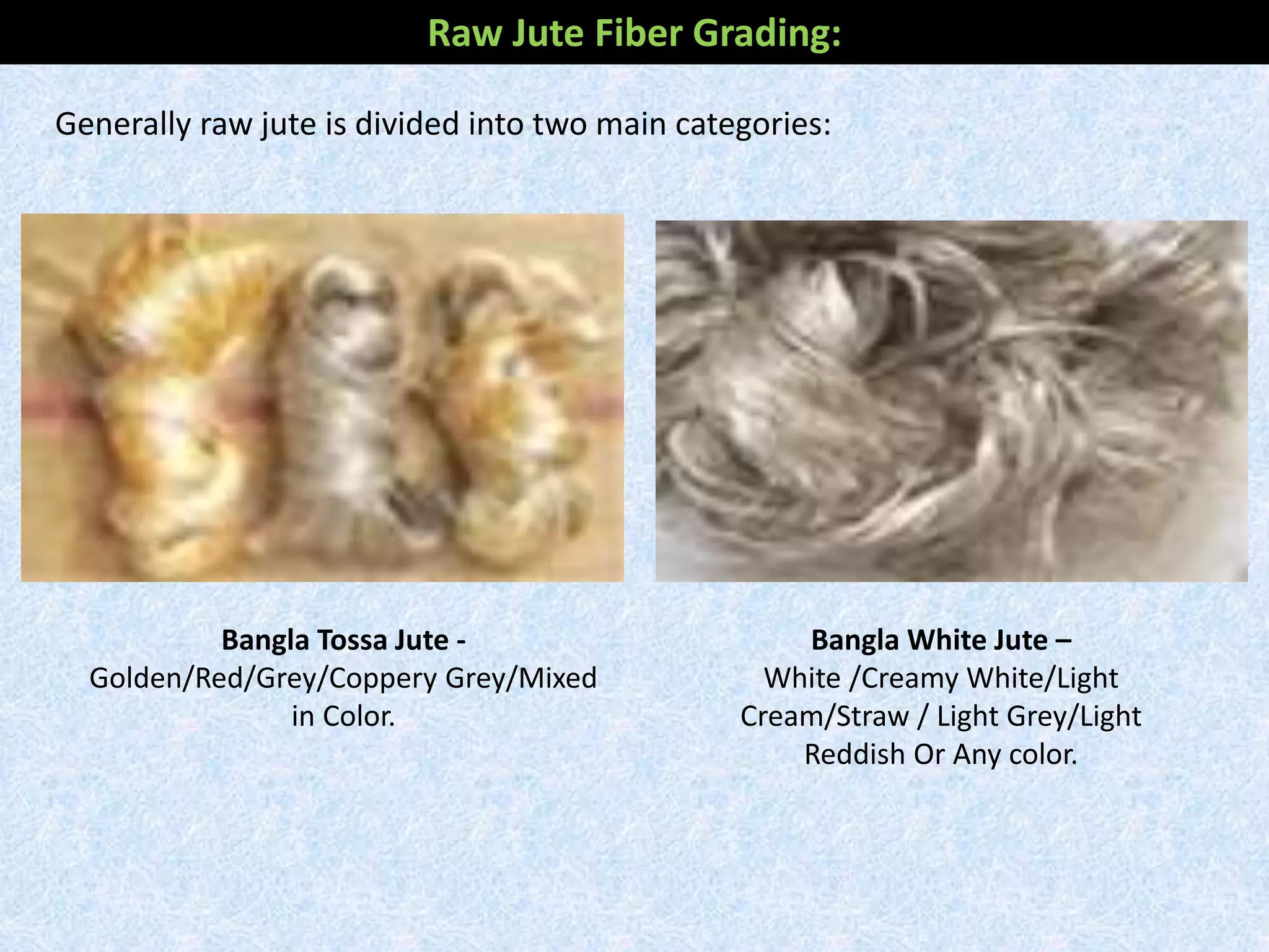 Bangla White Jute –
White /Creamy White/Light
Cream/Straw / Light Grey/Light
Reddish Or Any color.
Generally raw jute is divided into two main categories:
Bangla Tossa Jute -
Golden/Red/Grey/Coppery Grey/Mixed
in Color.
Raw Jute Fiber Grading:
 