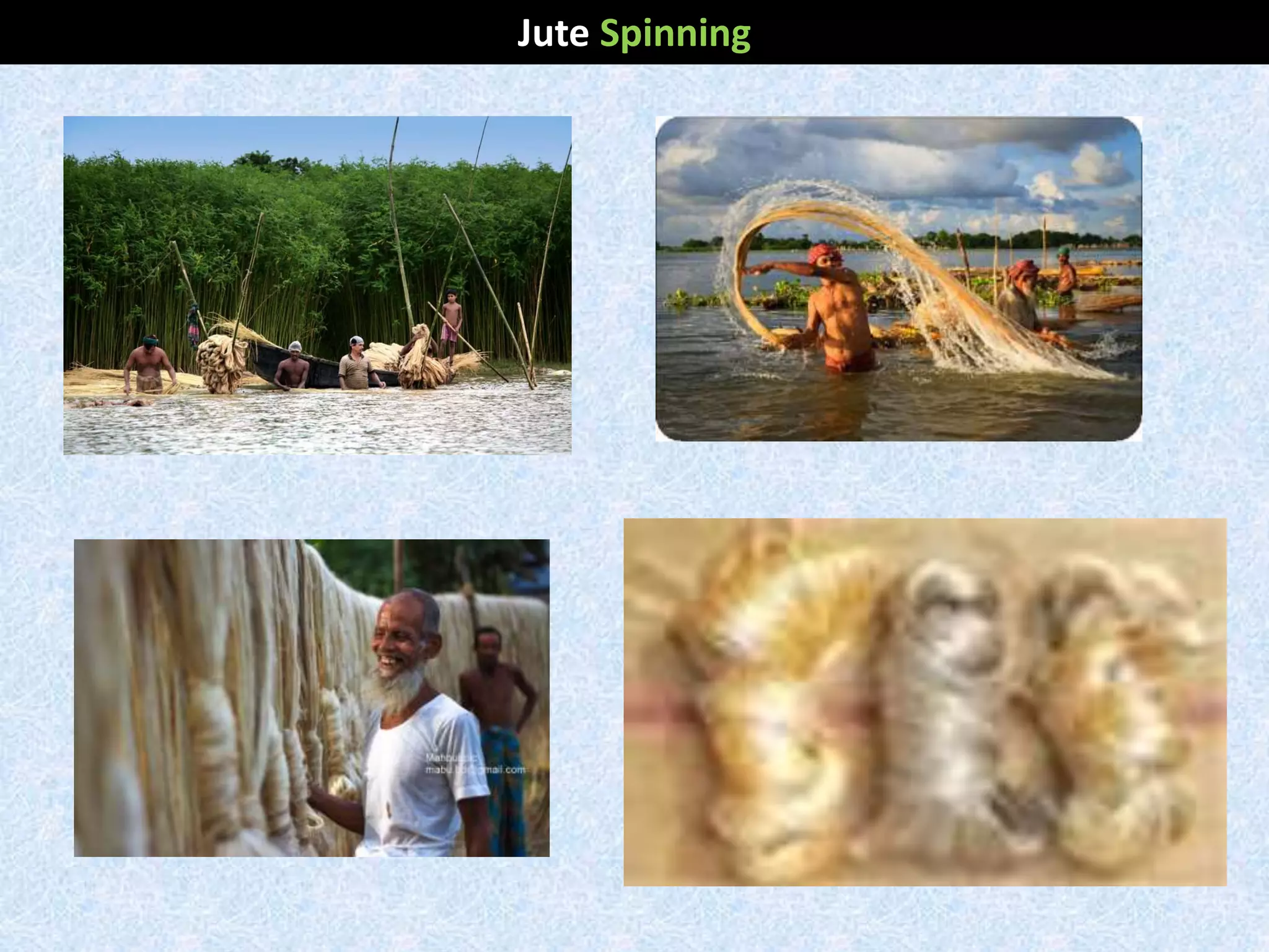 Jute Spinning
 