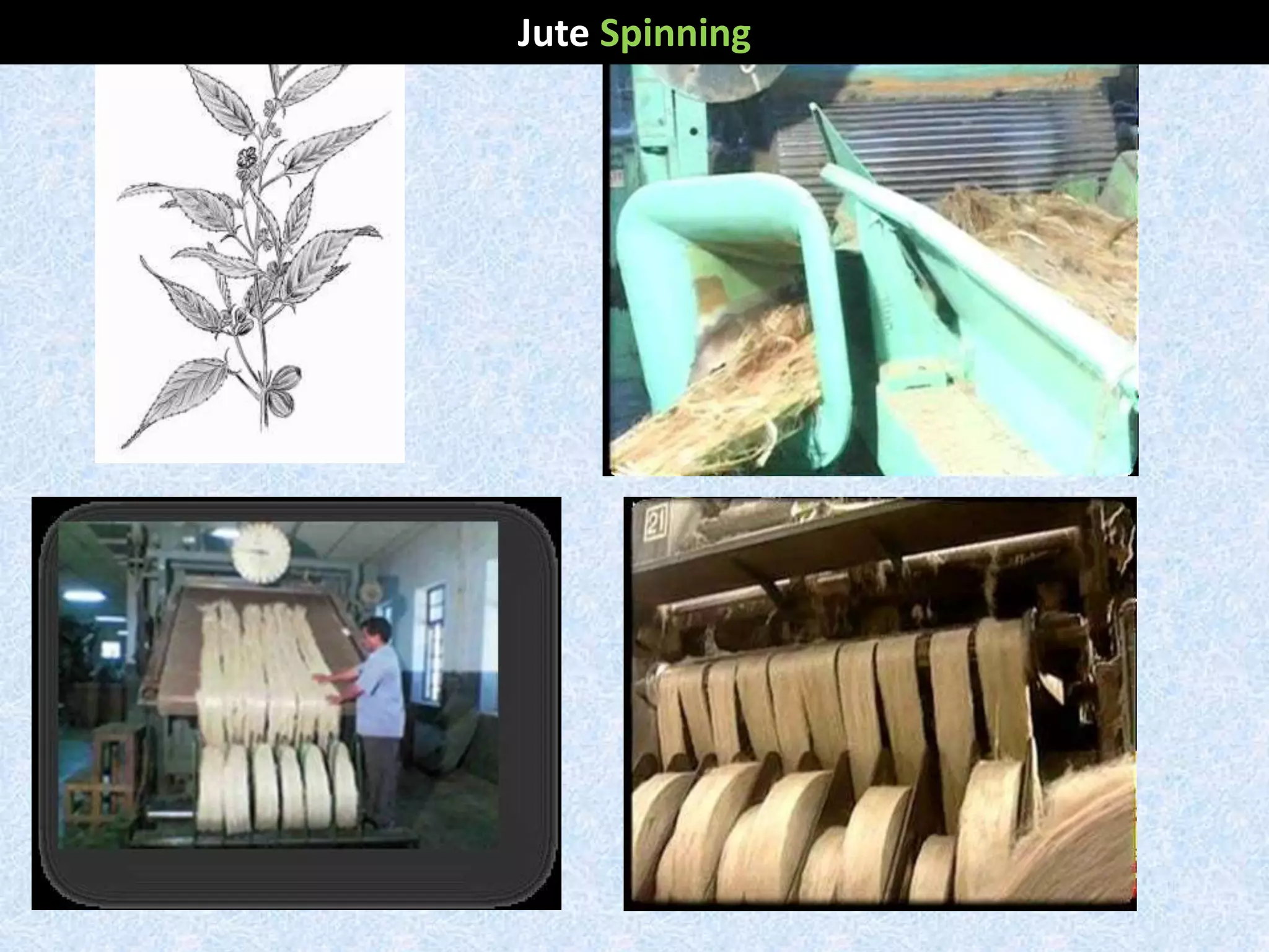 Jute Spinning
 