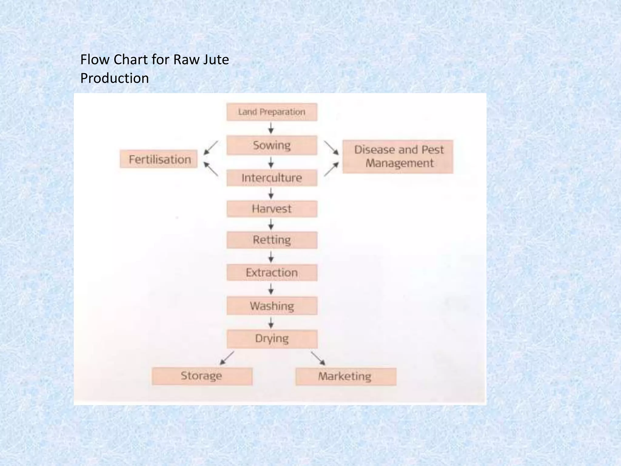 Flow Chart for Raw Jute
Production
 