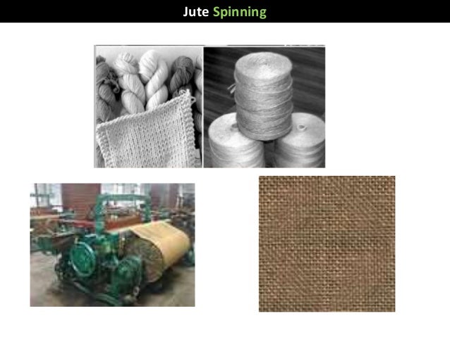 Jute Cultivation; Stage One Of The Jute Bag Manufacturing Process – LPQKY