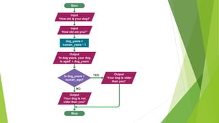 National 5 - Flowcharts | PPT