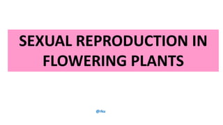 SEXUAL REPRODUCTION IN
FLOWERING PLANTS
@rku
 