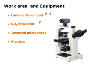 Laminar flow hood CO 2  incubator Inverted microscope Pipettes Work area   and  E quipment 