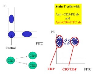 Stain T cells with Anti –CD3-PE ab   and Anti-CD4-FITC ab FITC PE Control FITC PE CD3 CD8 CD4 CD3 + CD3 + CD4 + 
