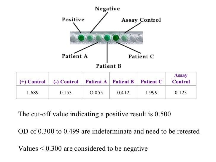 positive control negative control positive control negative control