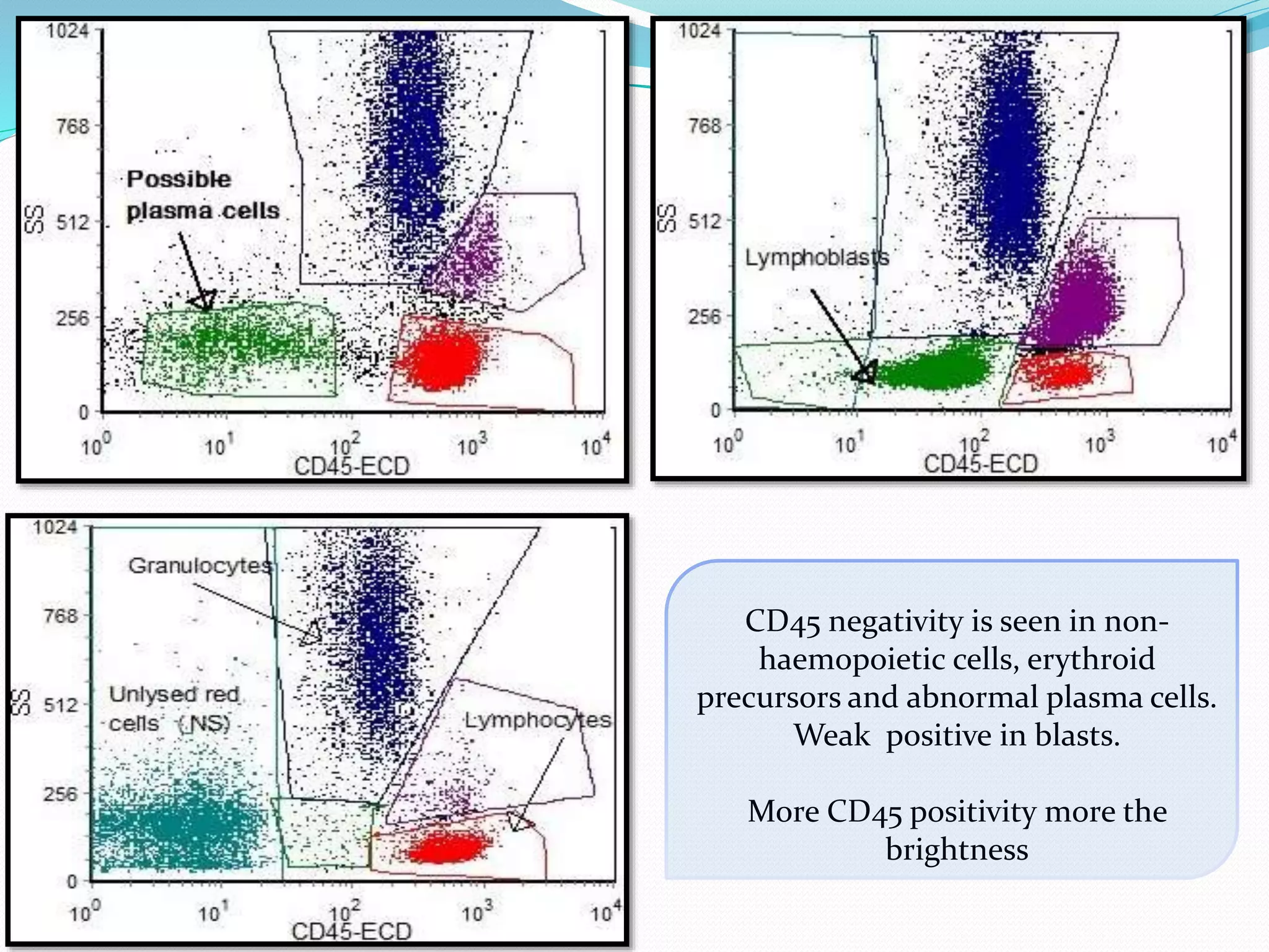 Flow cytometry | PPTX