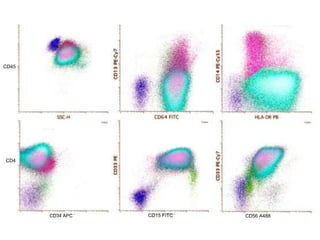 CD34 APC CD15 FITC CD56 A488
CD45
CD4
 