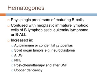 Hematogones
 Physiologic precursors of maturing B-cells.
 Confused with neoplastic immature lymphoid
cells of B lymphoblastic leukemia/ lymphoma
or B-ALL.
 Increased in:
 Autoimmune or congenital cytopenias
 Solid organ tumors e.g. neuroblastoma
 AIDS
 NHL
 Post-chemotherapy and after BMT
 Copper deficiency
 