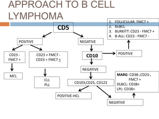 APPROACH TO B CELL
LYMPHOMA
CD5
POSITIVE NEGATIVE
CD23 -
FMC7 +
CD23 + FMC7 -
CD23 + FMC7 +
MCL MARG: CD38-,CD23-,
FMC7 +
DLBCL: CD38+
LPL: CD38+
CLL
PLL
CD10 POSITIVE
NEGATIVE
1. FOLLICULAR: FMC7 +
2. DLBCL
3. BURKITT: CD23 - FMC7 +
4. B-ALL: CD23 - FMC7 -
CD103,CD25, CD123
POSITIVE-HCL
NEGATIVE
 