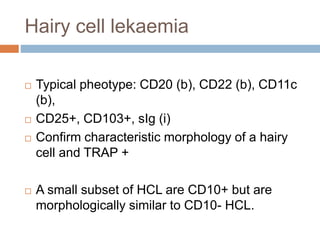 Hairy cell lekaemia
 Typical pheotype: CD20 (b), CD22 (b), CD11c
(b),
 CD25+, CD103+, sIg (i)
 Confirm characteristic morphology of a hairy
cell and TRAP +
 A small subset of HCL are CD10+ but are
morphologically similar to CD10- HCL.
 