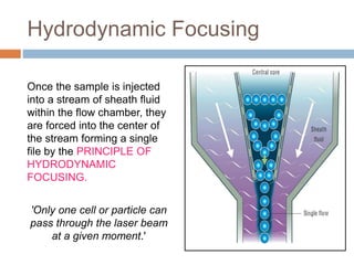 Hydrodynamic Focusing
Once the sample is injected
into a stream of sheath fluid
within the flow chamber, they
are forced into the center of
the stream forming a single
file by the PRINCIPLE OF
HYDRODYNAMIC
FOCUSING.
'Only one cell or particle can
pass through the laser beam
at a given moment.'
 