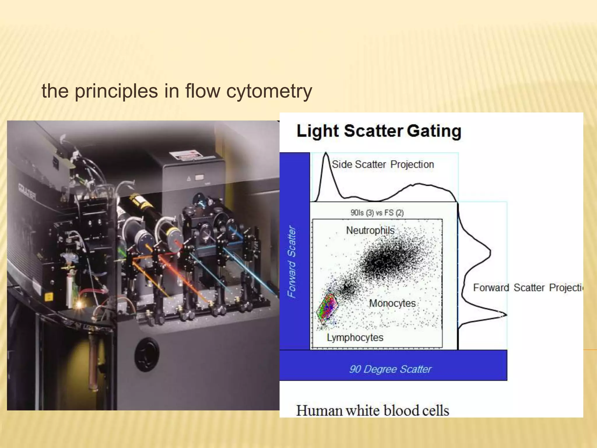 the principles in flow cytometry
 