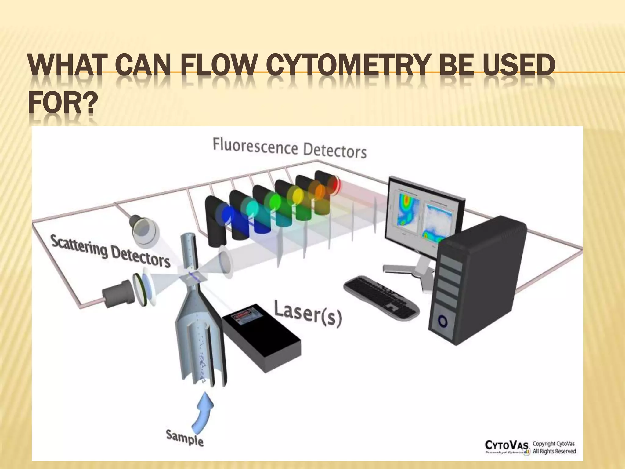 WHAT CAN FLOW CYTOMETRY BE USED
FOR?
 
