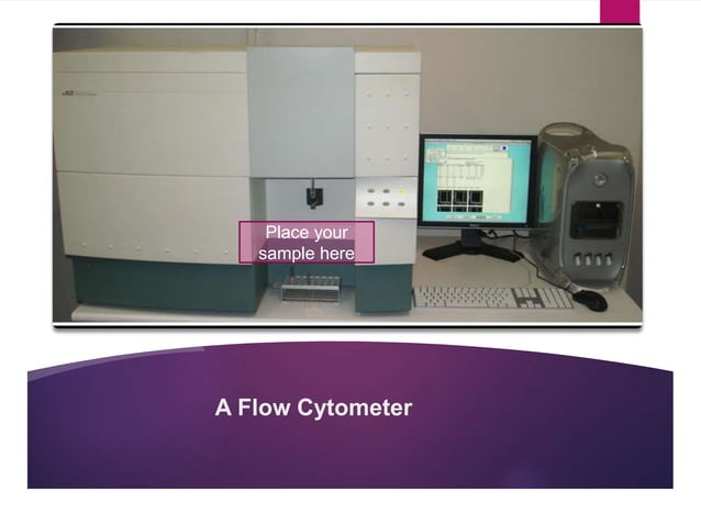 Flow cytometry: Principles and Applications | PPTX