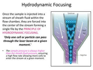 Hydrodynamic Focusing
Once the sample is injected into a
stream of sheath fluid within the
flow chamber, they are forced into
the center of the stream forming a
single file by the PRINCIPLE OF
HYDRODYNAMIC FOCUSING.
'Only one cell or particle can pass
through the laser beam at a given
moment.'
• The sample pressure is always higher
than the sheath fluid pressure, ensuring
a high flow rate allowing more cells to
enter the stream at a given moment.
 