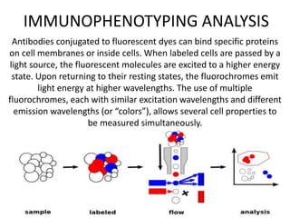Antibodies conjugated to fluorescent dyes can bind specific proteins
on cell membranes or inside cells. When labeled cells are passed by a
light source, the fluorescent molecules are excited to a higher energy
state. Upon returning to their resting states, the fluorochromes emit
light energy at higher wavelengths. The use of multiple
fluorochromes, each with similar excitation wavelengths and different
emission wavelengths (or “colors”), allows several cell properties to
be measured simultaneously.
IMMUNOPHENOTYPING ANALYSIS
 