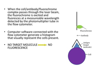 • When the cell/antibody/fluorochrome
complex passes through the laser beam,
the fluorochrome is excited and
fluoresces at a measureable wavelength
detected by the photomultiplier tube in
the flow cytometer.
• Computer software connected with the
flow cytometer generate a histogram
that visually represent the cells present.
• NO TARGET MOLECULE NO
FLUORESCENCE
Antibody
Fluorochrome
Antigen
(target
molecule)
Cell
 