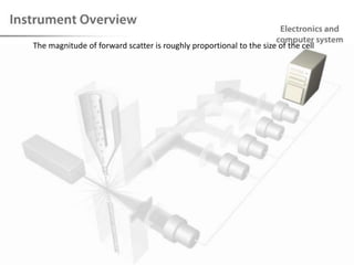 The magnitude of forward scatter is roughly proportional to the size of the cell
 