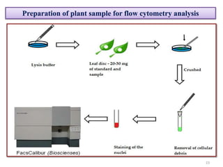Preparation of plant sample for flow cytometry analysis
23
 