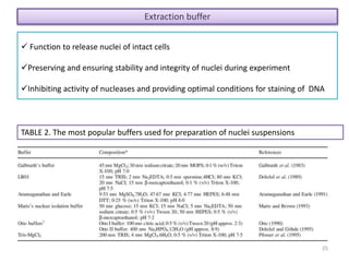 25
Extraction buffer
 Function to release nuclei of intact cells
Preserving and ensuring stability and integrity of nuclei during experiment
Inhibiting activity of nucleases and providing optimal conditions for staining of DNA
TABLE 2. The most popular buffers used for preparation of nuclei suspensions
 