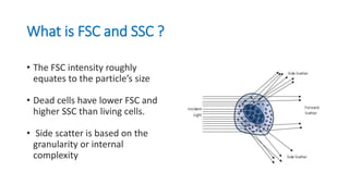 Fsc Calculation flowcytometry-basic principle of flowcyto | PPTX
