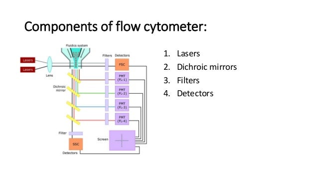 Flow Cytometry Schematic Diagram
