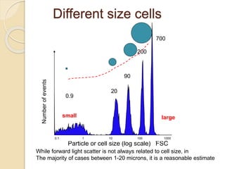 Different size cells
Particle or cell size (log scale) FSC
Number
of
events
small large
0.1 1 10 100 1000
0.9
20
90
200
700
While forward light scatter is not always related to cell size, in
The majority of cases between 1-20 microns, it is a reasonable estimate
 