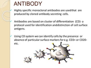  Highly specific monoclonal antibodies are usedthat are
produced by cloned antibody secreting cells.
 Antibodies are based on cluster of differentiation (CD)- a
protocol used for identification anddistinction of cell surface
antigens.
 Using CD system wecan identify cells by the presence or
absence of particular surface markers for e.g. CD3+ or CD20-
etc.
ANTIBODY
 
