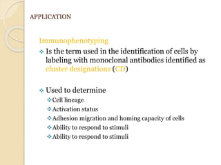 APPLICATION
Immunophenotyping
 Is the term used in the identification of cells by
labeling with monoclonal antibodies identified as
cluster designations (CD)
 Used to determine
Cell lineage
Activation status
Adhesion migration and homing capacity of cells
Ability to respond to stimuli
Ability to respond to stimuli
 