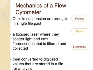 Optics
Fluidics
Electronics
Mechanics of a Flow
Cytometer
• Cells in suspension are brought
in single file past
• a focused laser where they
scatter light and emit
fluorescence that is filtered and
collected
• then converted to digitized
values that are stored in a file
for analysis
 