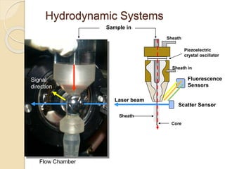 Hydrodynamic Systems
Sample in
Sheath
Sheath in
Laser beam
Piezoelectric
crystal oscillator
Fluorescence
Sensors
Scatter Sensor
Core
Sheath
Signal
direction
Flow Chamber
 