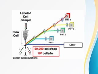 Flow cytometry ppt importantfor MD residents | PPTX