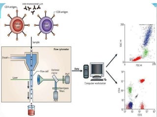 Flow cytometry for cell componenet analysis | PPTX