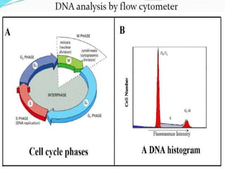 Flow cytometry for cell componenet analysis | PPTX