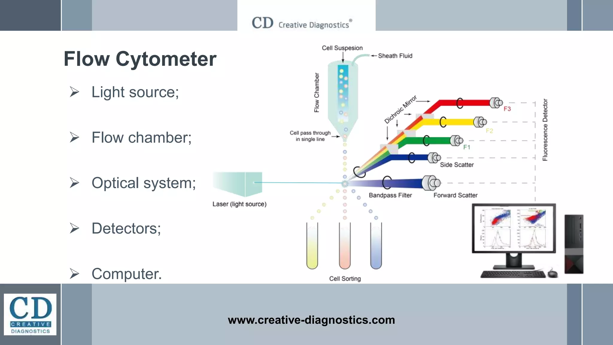  Light source;
 Flow chamber;
 Optical system;
 Detectors;
 Computer.
www.creative-diagnostics.com
Flow Cytometer
 