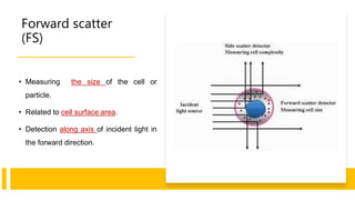 Forward scatter
(FS)
• Measuring the size of the cell or
particle.
• Related to cell surface area.
• Detection along axis of incident light in
the forward direction.
 