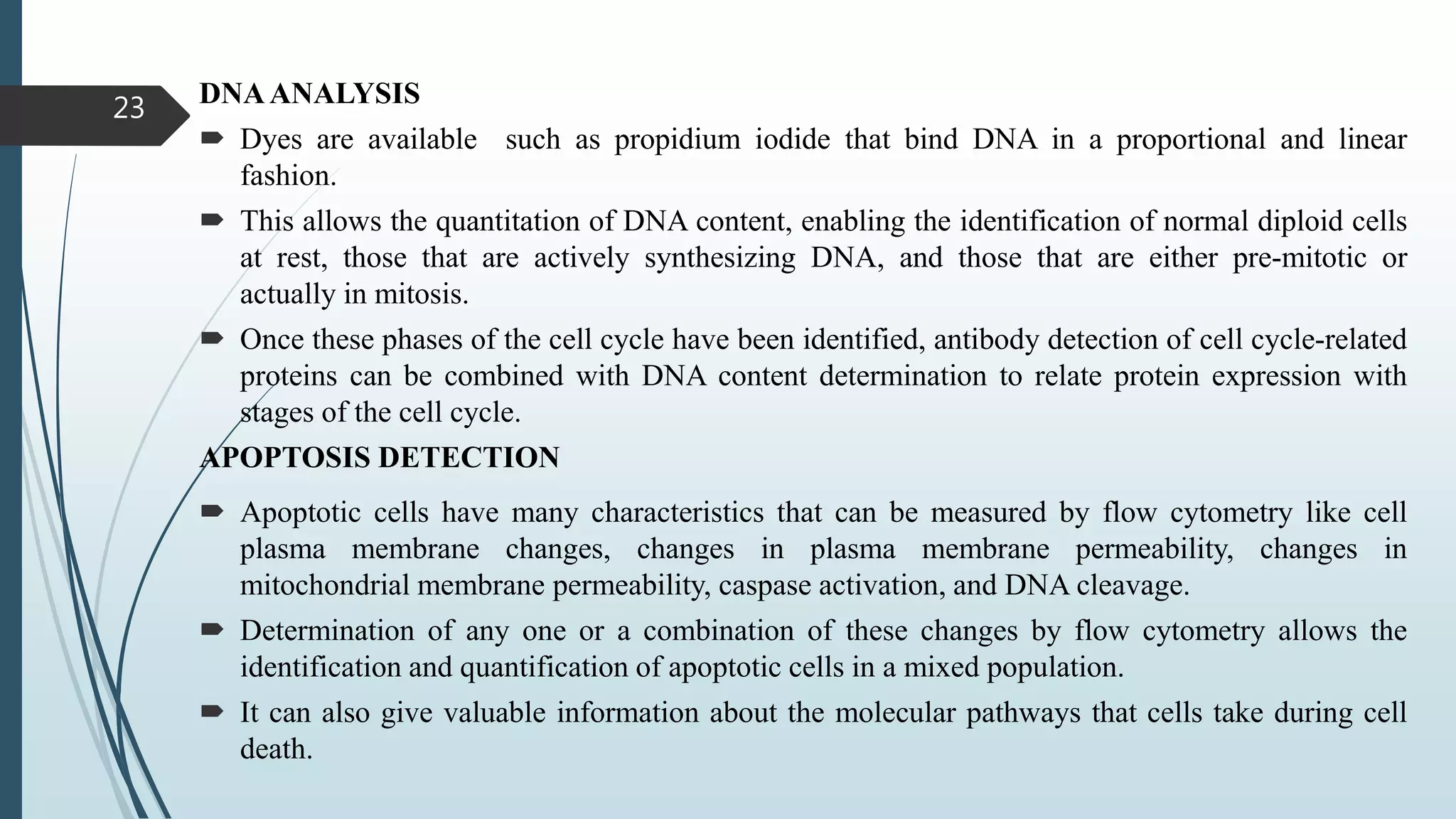 DNAANALYSIS
 Dyes are available such as propidium iodide that bind DNA in a proportional and linear
fashion.
 This allows the quantitation of DNA content, enabling the identification of normal diploid cells
at rest, those that are actively synthesizing DNA, and those that are either pre-mitotic or
actually in mitosis.
 Once these phases of the cell cycle have been identified, antibody detection of cell cycle-related
proteins can be combined with DNA content determination to relate protein expression with
stages of the cell cycle.
APOPTOSIS DETECTION
 Apoptotic cells have many characteristics that can be measured by flow cytometry like cell
plasma membrane changes, changes in plasma membrane permeability, changes in
mitochondrial membrane permeability, caspase activation, and DNA cleavage.
 Determination of any one or a combination of these changes by flow cytometry allows the
identification and quantification of apoptotic cells in a mixed population.
 It can also give valuable information about the molecular pathways that cells take during cell
death.
23
 