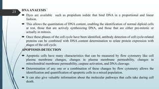 DNAANALYSIS
 Dyes are available such as propidium iodide that bind DNA in a proportional and linear
fashion.
 This allows the quantitation of DNA content, enabling the identification of normal diploid cells
at rest, those that are actively synthesizing DNA, and those that are either pre-mitotic or
actually in mitosis.
 Once these phases of the cell cycle have been identified, antibody detection of cell cycle-related
proteins can be combined with DNA content determination to relate protein expression with
stages of the cell cycle.
APOPTOSIS DETECTION
 Apoptotic cells have many characteristics that can be measured by flow cytometry like cell
plasma membrane changes, changes in plasma membrane permeability, changes in
mitochondrial membrane permeability, caspase activation, and DNA cleavage.
 Determination of any one or a combination of these changes by flow cytometry allows the
identification and quantification of apoptotic cells in a mixed population.
 It can also give valuable information about the molecular pathways that cells take during cell
death.
23
 