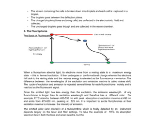 - The stream containing the cells is broken down into droplets and each cell is captured in a
droplet.
- The droplets pass between the deflection plates.
- The charged droplets (those enclosing cells) are deflected in the electrostatic field and
collected.
- The uncharged droplets pass though and are collected in the waste chamber.
B. The Fluorophores
The Basis of Fluorescence
When a fluorophore absorbs light, its electrons move from a resting state to a maximum energy
state – this is termed excitation. It then undergoes a conformational change wherein the electrons
fall back to the resting state and the excess energy is released as the fluorescence – emission. The
difference between the wavelengths of the excitation and emission maxima is called stokes shift.
The cycle of excitation and emission is repeated several times for each fluorochrome moiety and is
read out as the fluorescent signal.
Since the emitted light has less energy than the excitation, the emission wavelength of any
fluorochrome is longer than its excitation wavelength and therefore has a different color. For
example, FITC absorbs between 400-530 nm with peak absorption or excitation maxima at 490 nm
and emits from 475-650 nm, peaking at 525 nm. It is important to excite flurochromes at their
excitation maxima to increase the intensity of emission.
The emitted color (and intensity) of a fluorochrome which is finally detected by an instrument
depends largely on the laser and filter settings. To take the example of FITC, its absorption
spectrum lies in both the blue and green spectra, but the
8
 