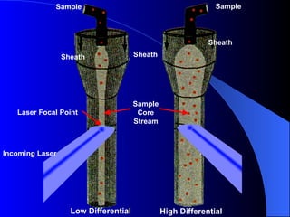 Background information on flow cytometry | PPT