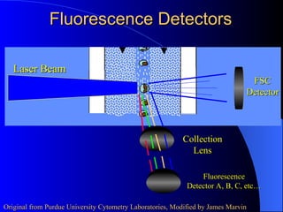 Background information on flow cytometry | PPT