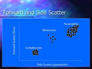 Forward and Side Scatter
Side Scatter (granularity)
Forward
Scatter
(Size)
Neutrophils
Monocytes
Lymphocytes
 