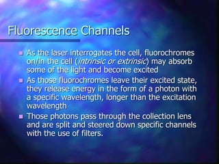 Fluorescence Channels
 As the laser interrogates the cell, fluorochromes
on/in the cell (intrinsic or extrinsic) may absorb
some of the light and become excited
 As those fluorochromes leave their excited state,
they release energy in the form of a photon with
a specific wavelength, longer than the excitation
wavelength
 Those photons pass through the collection lens
and are split and steered down specific channels
with the use of filters.
 