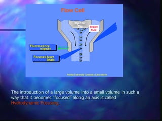 The introduction of a large volume into a small volume in such a
way that it becomes “focused” along an axis is called
Hydrodynamic Focusing.
 