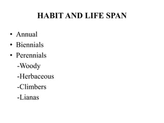 HABIT AND LIFE SPAN
• Annual
• Biennials
• Perennials
-Woody
-Herbaceous
-Climbers
-Lianas
 